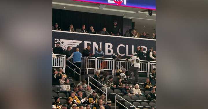 Fan falls from stands at Pittsburgh's PPG Paints Arena during Penguins