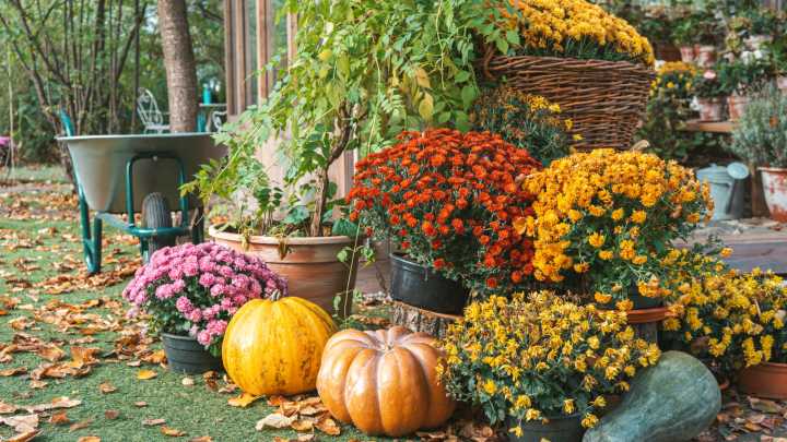 Your Fall Garden To-Do List By Growing Zone