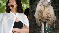 Clara de Estrada juega a borrar los límites entre lo humano y lo animal y presenta “Avistaje”