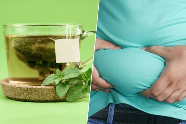 Siempre se ha pensado que el té verde era bueno para perder grasa. Ahora sabemos por qué