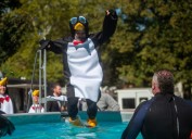 PHOTOS: Plunging for Special Olympics Connecticut