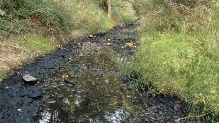 Ecologistas en Acción denuncia a Carburo de Cinca, en Monzón, por verter un fango negro al río Cinca