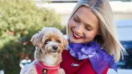 'Biggest issue for me': Vet's warning ahead of pets boarding flights in Australia