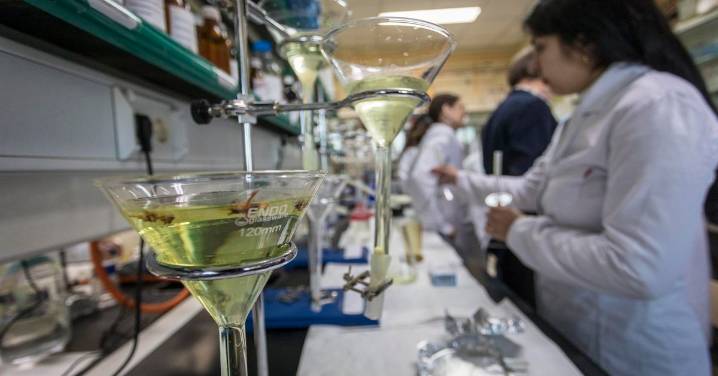 El programa Ramón y Cajal cumple 25 años con más de 30 investigadores vinculados a la Universidad de Cádiz