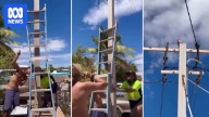 Mates channel MacGyver in rescue of galah trapped in power pole in WA's north