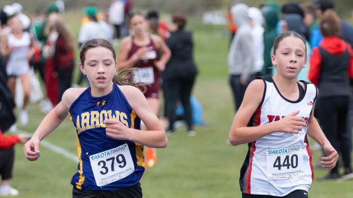 103 area Class A & B cross country runners punch their tickets to state