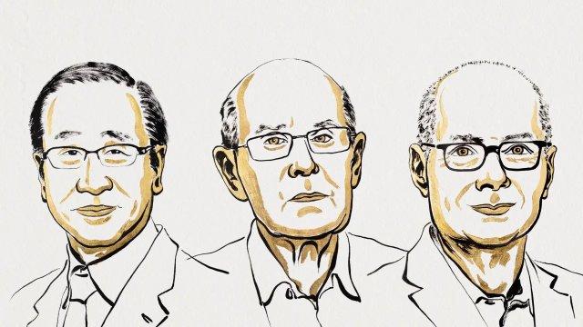 Nobel Prize 2025: Can Chemistry Build Houses for Molecules?