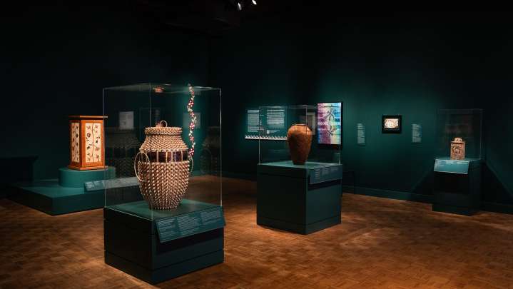DIA unveils new exhibit highlighting Great Lakes Anishinaabe artists
