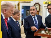 Salesman, Manager? Army Chief Asim Munir, PM Shehbaz Sharif mocked in Pakistan..