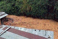 Ante constantes lluvias: Habitantes de El Parque en alerta por crecida de quebrada en El Vigía