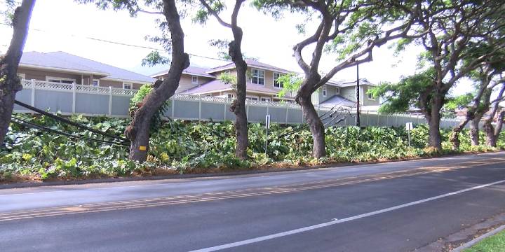 Downed communication cables spark concerns on Maui