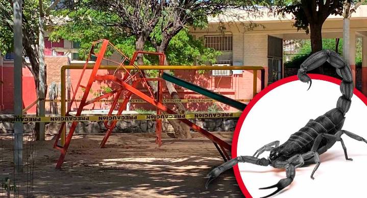 Pierde la vida menor de 5 años por picadura de alacrán en preescolar de Hermosillo; falleció en el hospital
