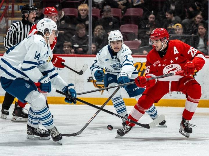 Soo Greyhounds visit Brampton Steelheads: live blog