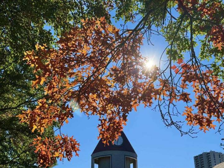 Sunshine returns Wednesday, rain returns this weekend
