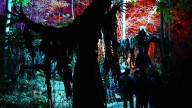Haunted Overload named one of the best haunted attractions in country
