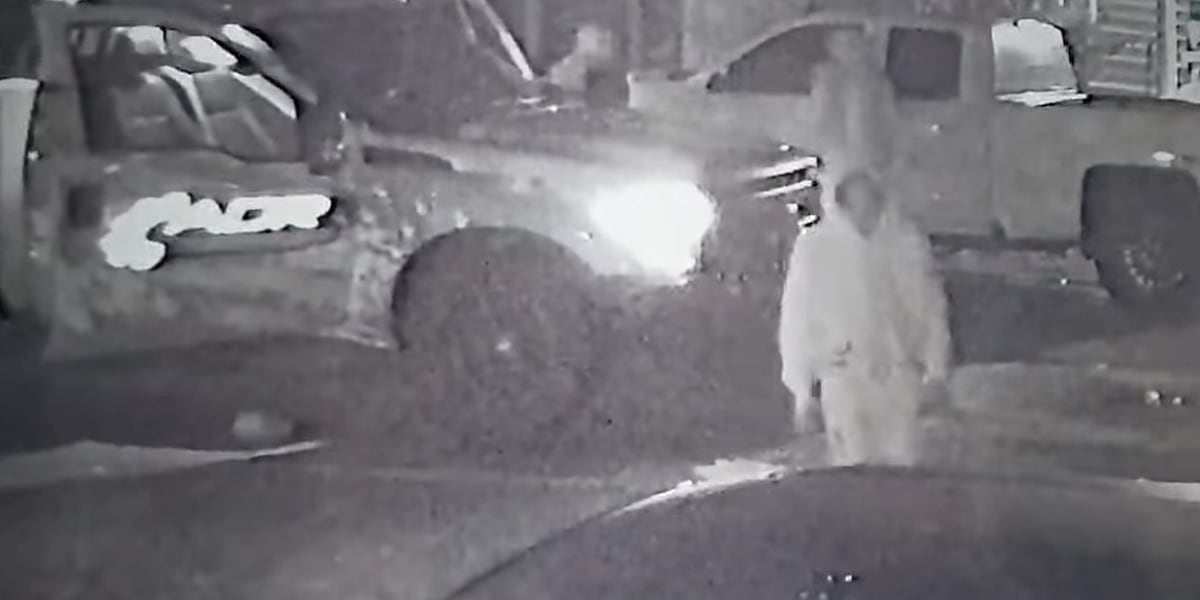 Herrin, Ill. police investigating mult. reports of vehicle, residential burglaries