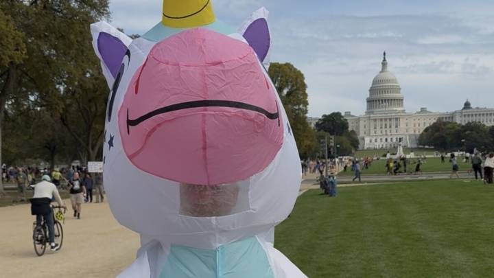 A frog, a lobster and a unicorn walked into a No Kings protest