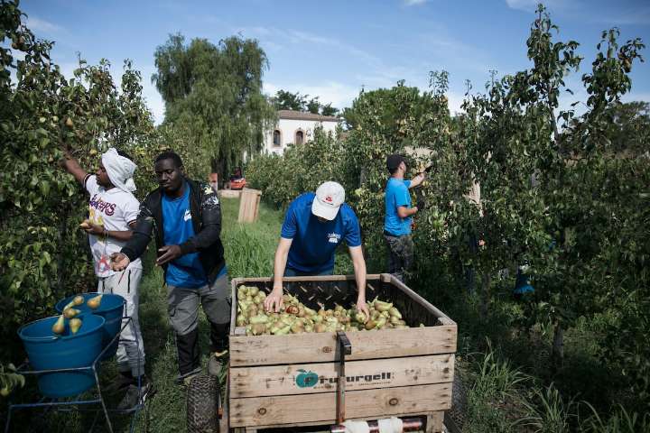 “¡Es que vienen con machetes!”. No son los migrantes: es el capitalismo global