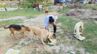 World Animal Day: Stray Animals In East Delhi Have A Friend In Nimisha Bhagat