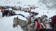Fears final 200 hikers still trapped on Everest will be buried alive by snow as rescuers face race against time