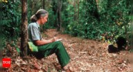 Singing in the rain — how Jane Goodall and her chimpanzees changed our world