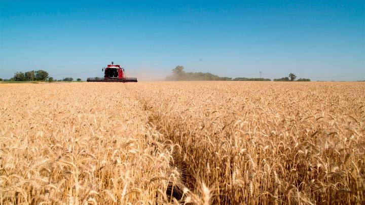 Histórico septiembre: el agro liquidó USD 7.107 millones por el régimen de retenciones cero