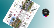 Adiós a las palmeras: Un ícono urbano desaparece del paisaje capitalino