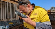 NT's new gold rush puts Katherine region in the spotlight