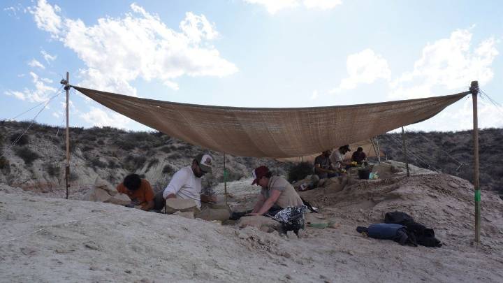 Nuevo stream del CONICET: todos los detalles de la campaña que buscará fósiles de dinosaurios en Río Negro