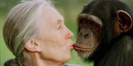 Jane Goodall, famed chimpanzee researcher and environmental advocate, dies at 91