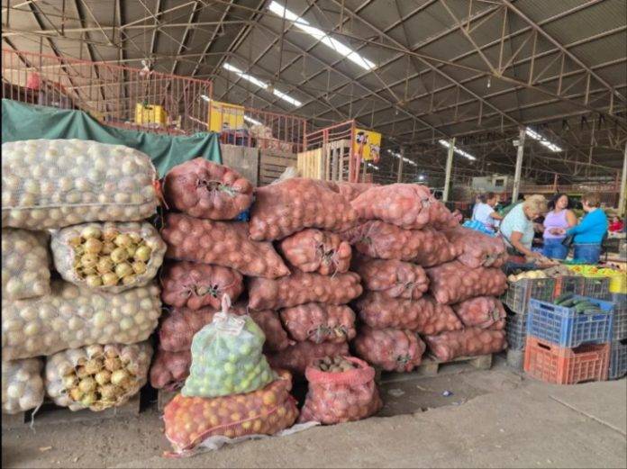 Gobierno nacional quiere acelerar la digitalización de pagos en el mercado de mayoristas de Coche