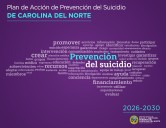 Nuevo plan estatal busca prevenir suicidios en Carolina del Norte