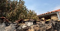 La Junta concede 315 nuevas ayudas de 500 euros a familias desalojadas por los incendios de este verano