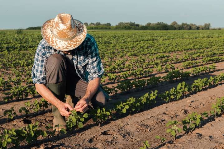 La administración de Trump prepara paquete de ayuda de $10,000 millones para agricultores
