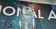 Fun fall events at the National Aviary