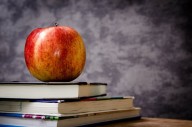 Content of Lee teachers' social media posts made public