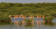 Van proyectos en acción climática