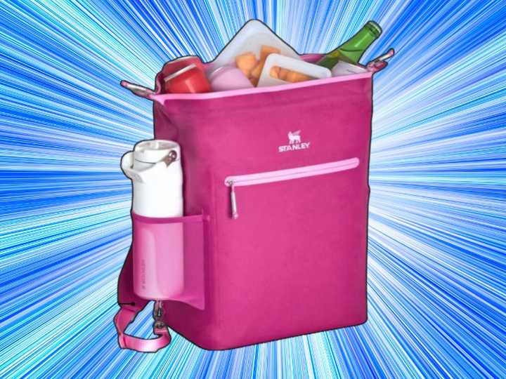 Amazon has Stanley's All Day Madeleine Midi backpack cooler for a whopping 40% off