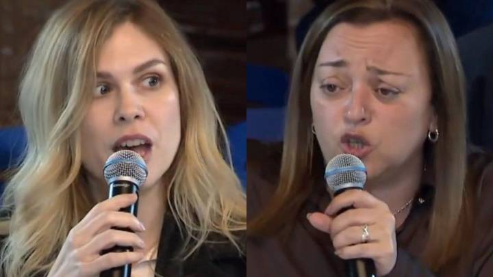 Cecilia Moreau ubicó a Lemoine en un debate de comisión: "Turbia sos vos nena"