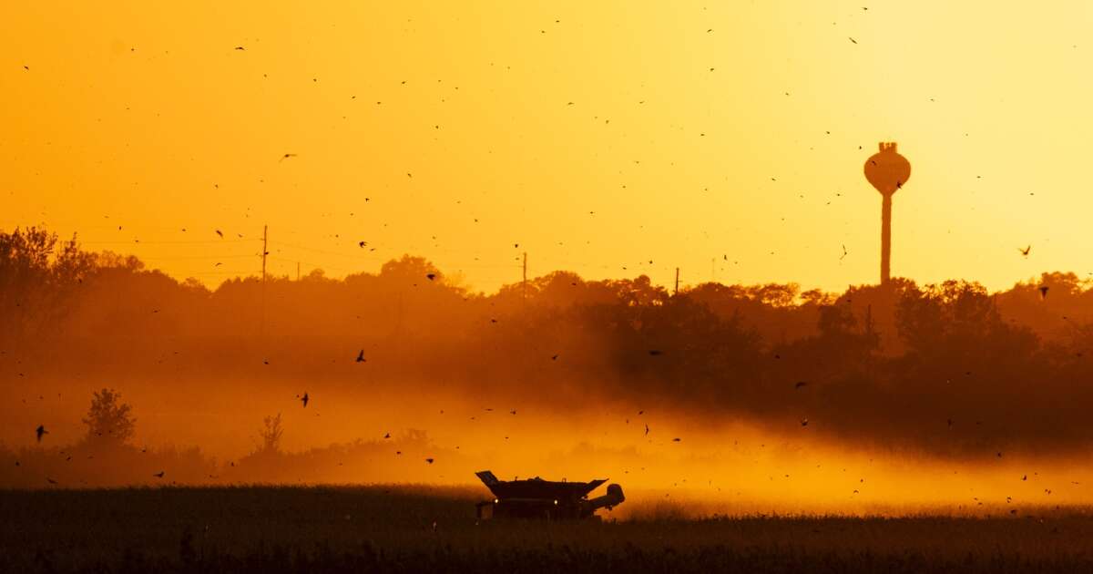 Temperatures normal across Iowa, but conditions dry as harvest season wanes