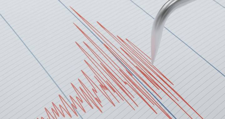 Fuerte sismo sacude Mendoza: 5,5 en la escala de Richter con epicentro en Chile
