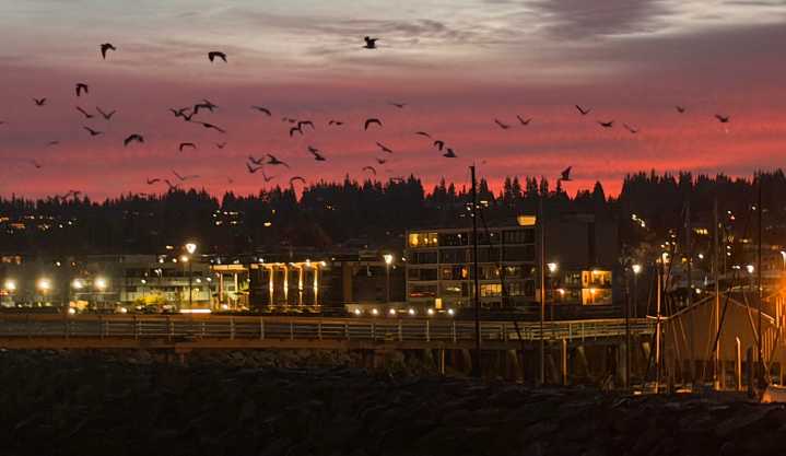 Scene in Edmonds: Around town Thursday