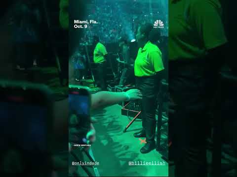 Billie Eilish violently pulled into crowd at concert