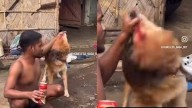Man Forces Dog To Drink Beer In Nagaland, Netizens Demand Strict Action; Video