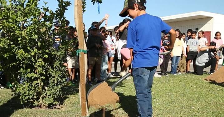 Escuelas de Imperial comienzan a sembrar más de mil árboles