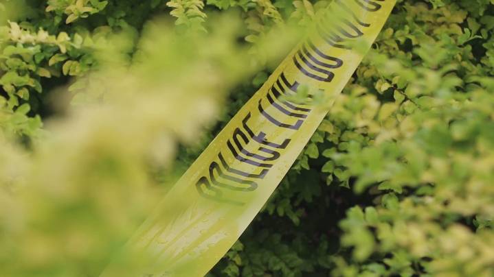 Naked man with gun arrested for capital murder in Arkansas