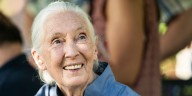 Jane Goodall, famed chimpanzee researcher and conservationist, dead at 91