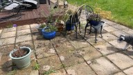 Is Ryobi's Patio Cleaner Worth Buying? Here's What Reviews Say