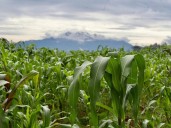 Ministro de Agricultura canadiense realizará visita a México para fortalecer relación
