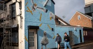 New seagull mural prompts mixed feeling among locals
